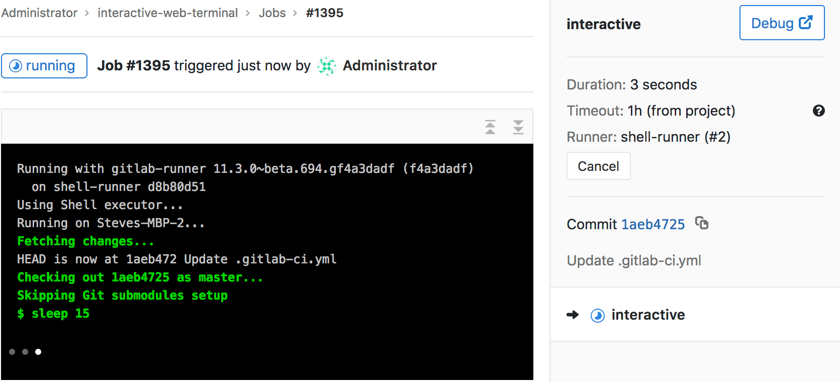 Example of job running with terminalavailable