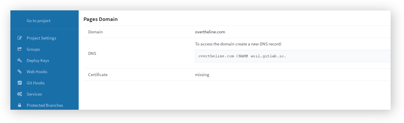 Pages DNS details